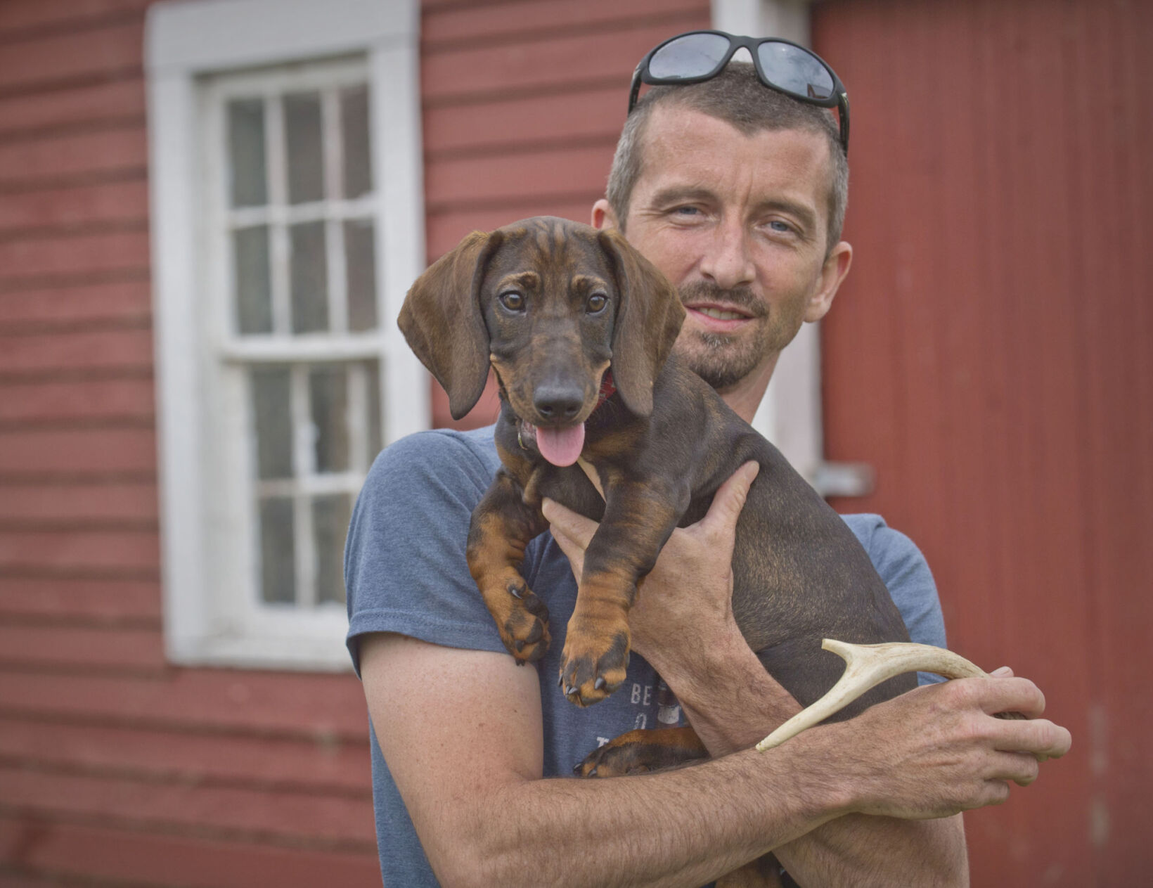 Specially trained pets able to locate game